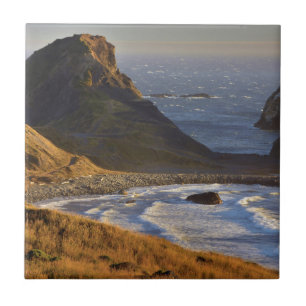 Zonnebakken, Zeeen, zussen, oregonkusten Tegeltje