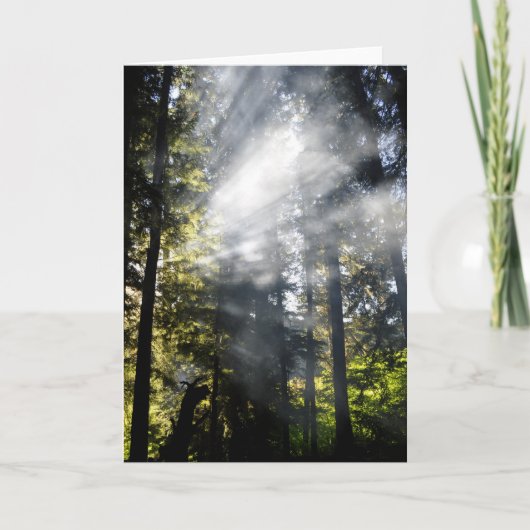 zonnebalken kaart (Voorkant)