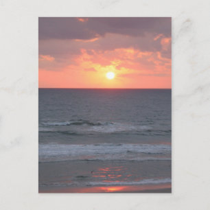 Zonnebestrijding Briefkaart