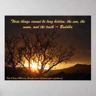 Zonnebestrijding poster