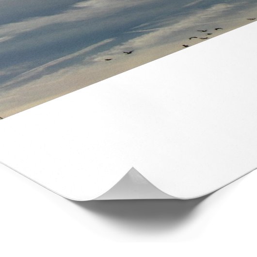 zonnebleken poster (Hoek)