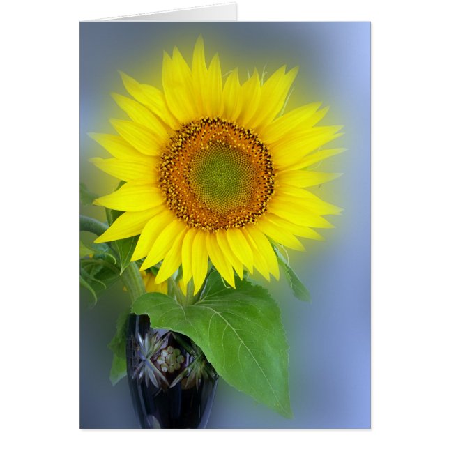 zonnebloem (Voorkant)