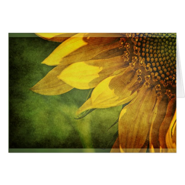 Zonnebloem (Voorkant Horizontaal)