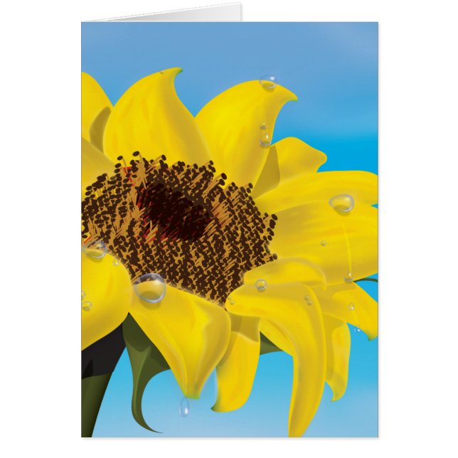 Zonnebloem (Voorkant)