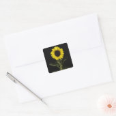 Zonnebloem 11 vierkante sticker (Envelop)