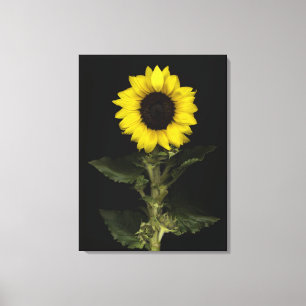 Zonnebloem 14 canvas afdruk