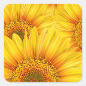 Zonnebloem Achtergrond Stickers (Voorkant)