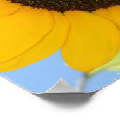 Zonnebloem Afbeelding afdrukken Poster (Hoek)