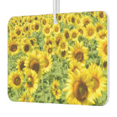 Zonnebloem auto verser luchtverfrisser (Links)