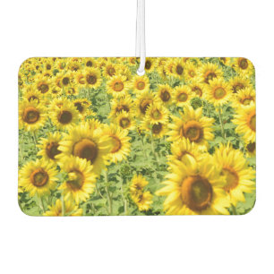 Zonnebloem auto verser luchtverfrisser