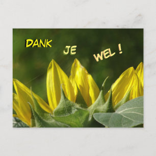 Zonnebloem Bedankkaart Briefkaart