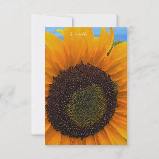 Zonnebloem, bij & hemel notitiekaartje (Voorkant)