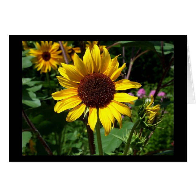 Zonnebloem - Blanco kaart (Voorkant Horizontaal)