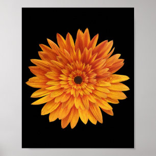 zonnebloem bloem bloemen poster