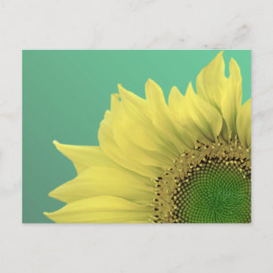 Zonnebloem Briefkaart