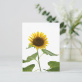 Zonnebloem Briefkaart (Staand voorkant)