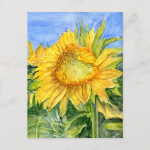 Zonnebloem Briefkaart