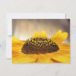 Zonnebloem Briefkaart