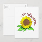 Zonnebloem Briefkaart (Voorkant / Achterkant)