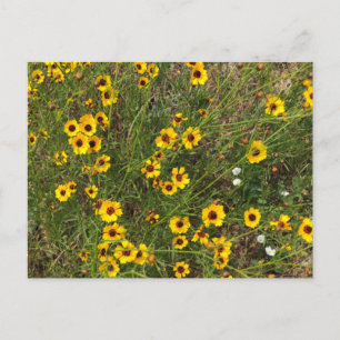 Zonnebloem Briefkaart