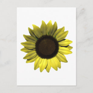 Zonnebloem Briefkaart