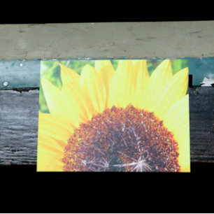 Zonnebloem Briefkaart