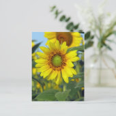 Zonnebloem Briefkaart (Staand voorkant)