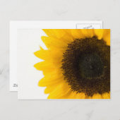 zonnebloem briefkaart (Voorkant / Achterkant)