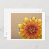 Zonnebloem briefkaart (Voorkant / Achterkant)