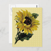  zonnebloem briefkaart (Voorkant / Achterkant)