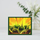 Zonnebloem Briefkaart (Staand voorkant)