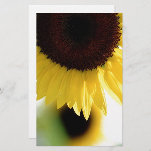Zonnebloem Briefpapier (Voorkant / Achterkant)
