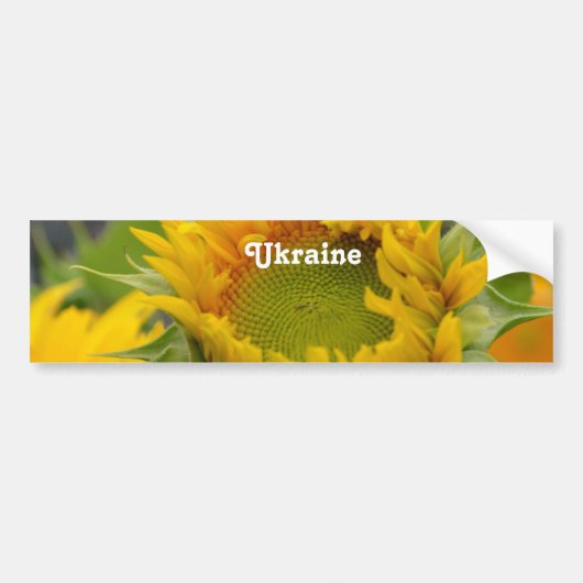 Zonnebloem Bumpersticker (Voorkant)