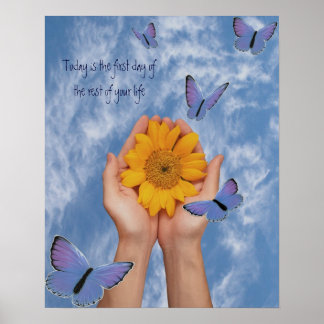 Zonnebloem Butterflies Poster