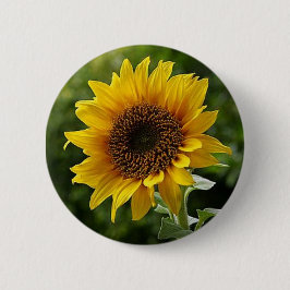 Zonnebloem Button