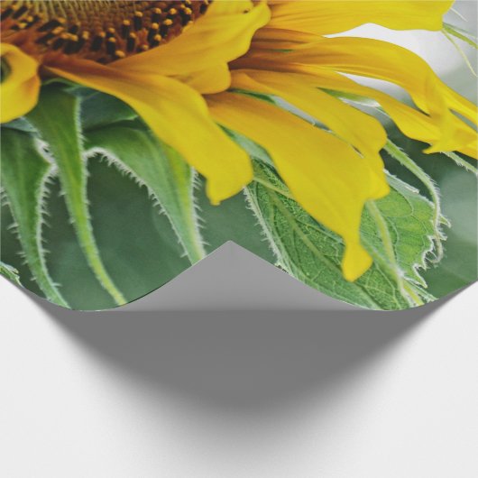 Zonnebloem Cadeaupapier (Hoek)