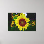 Zonnebloem Canvas Afdruk (Voorkant)