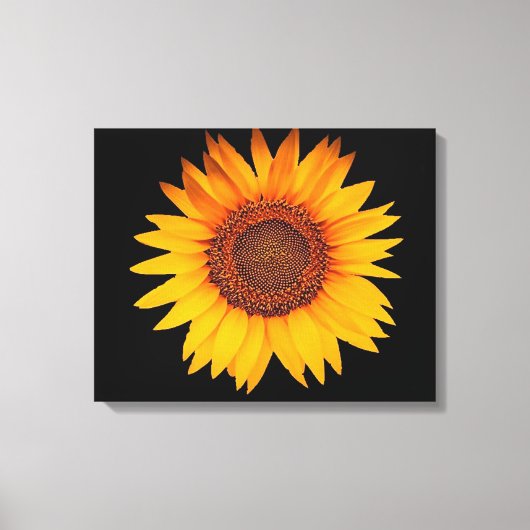 Zonnebloem Canvas Afdruk (Voorkant)