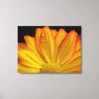Zonnebloem Canvas Afdruk
