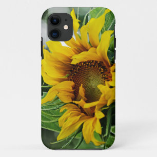 Zonnebloem iPhone 11 Hoesje