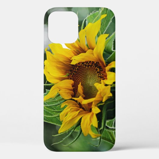Zonnebloem Case-Mate iPhone Case (Achterkant)