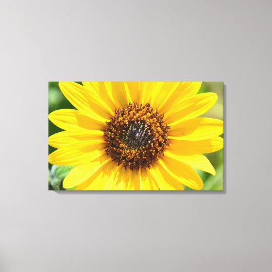 Zonnebloem Close Up canvas print (Voorkant)