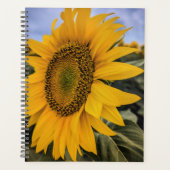 Zonnebloem Closeup Planner (Voorkant)