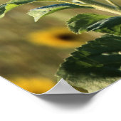 Zonnebloem Dag Poster (Hoek)