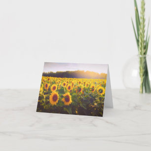 Zonnebloem Dank u gevouwen Kaart