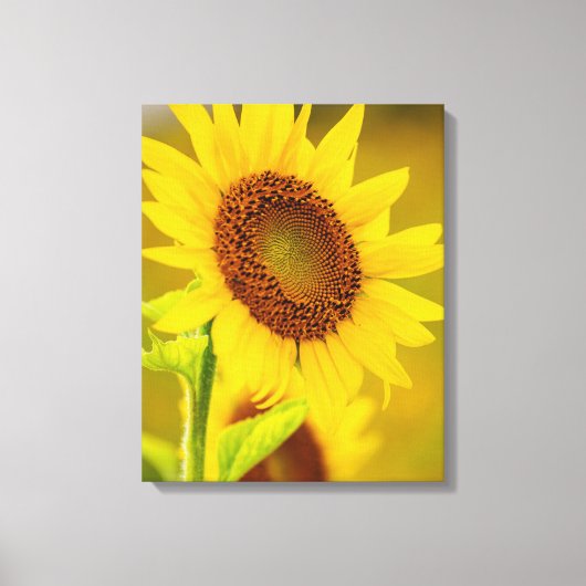 Zonnebloem dicht canvas afdruk (Voorkant)