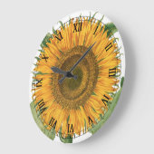  zonnebloem door Basilius Besler Grote Klok (Hoek)