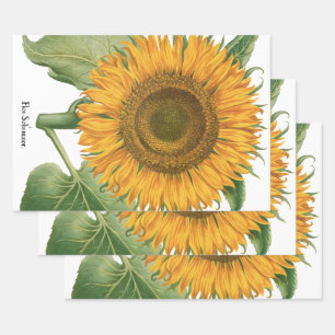Zonnebloem door Basilius Besler Inpakpapier Vel