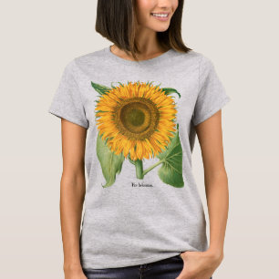  zonnebloem door Basilius Besler T-shirt
