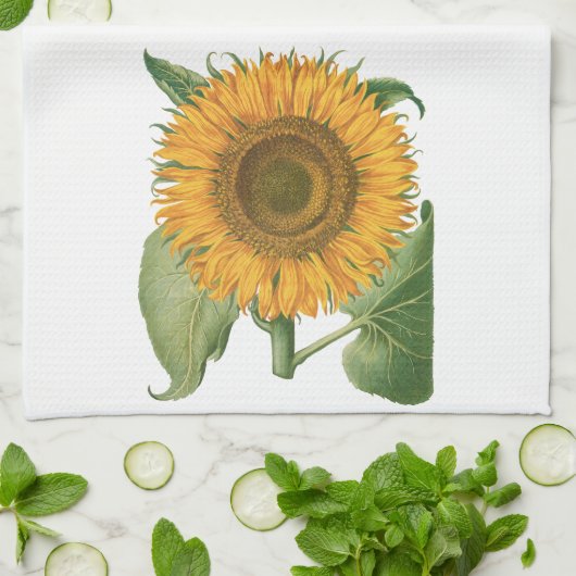 zonnebloem door Basilius Besler Theedoek (Gevouwen)